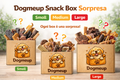 DogmeUp Surprise 3 Box